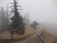 Bryce Canyon - Stopp am Bryce Point - leider ist der Canyon in Nebel eingehüllt  &ndash; &copy; Annette Zocher (Eberhardt TRAVEL)