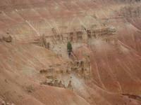 Bryce Canyon &ndash; &copy; Annette Zocher (Eberhardt TRAVEL)