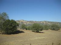 Ranchland