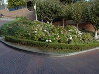 Lombard Street &ndash; &copy; Kristin Werner (Eberhardt TRAVEL)