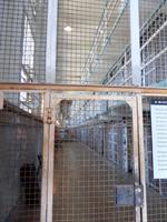 Alcatraz &ndash; &copy; Kristin Werner (Eberhardt TRAVEL)