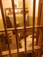 Alcatraz &ndash; &copy; Kristin Werner (Eberhardt TRAVEL)