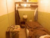 Alcatraz &ndash; &copy; Kristin Werner (Eberhardt TRAVEL)