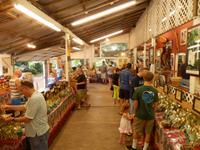 Macadamiafarm &ndash; &copy; Kristin Werner (Eberhardt TRAVEL)