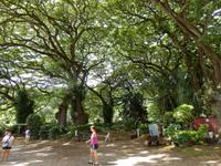 Macadamiafarm &ndash; &copy; Kristin Werner (Eberhardt TRAVEL)