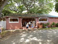 Macadamiafarm &ndash; &copy; Kristin Werner (Eberhardt TRAVEL)