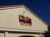 Dole-Plantage  &ndash; &copy; Kristin Werner (Eberhardt TRAVEL)