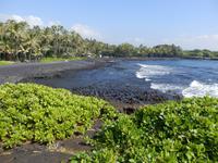 Punalu´u Black Sand Beach Park  &ndash; &copy; Kristin Werner (Eberhardt TRAVEL)
