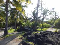 Pu´uhonua´o Honaunau &ndash; &copy; Kristin Werner (Eberhardt TRAVEL)