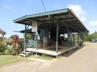 Kaffeeplantage  &ndash; &copy; Kristin Werner (Eberhardt TRAVEL)