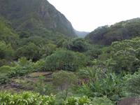 Iao Tal &ndash; &copy; Kristin Werner (Eberhardt TRAVEL)