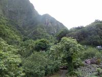 Iao Tal &ndash; &copy; Kristin Werner (Eberhardt TRAVEL)