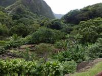 Iao Tal &ndash; &copy; Kristin Werner (Eberhardt TRAVEL)