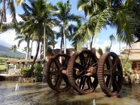 Maui Tropical Plantation &ndash; &copy; Kristin Werner (Eberhardt TRAVEL)