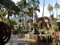 Maui Tropical Plantation &ndash; &copy; Kristin Werner (Eberhardt TRAVEL)