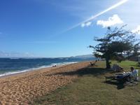 Courtyard by Marriott Kauai at Coconut Beach &ndash; &copy; Kristin Werner (Eberhardt TRAVEL)