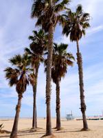 Santa Monica &ndash; &copy; Anna Stiebing (Eberhardt TRAVEL)