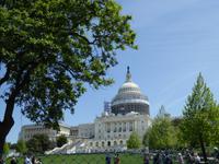 Capitol &ndash; &copy; Sabine Letzybyll (Eberhardt TRAVEL)