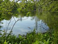 Central Park - NY &ndash; &copy; Sabine Letzybyll (Eberhardt TRAVEL)