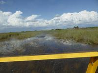Everglades Nationalpark &ndash; &copy; Sabine Letzybyll (Eberhardt TRAVEL)