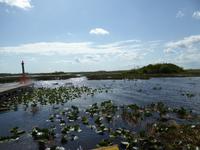 Everglades Nationalpark &ndash; &copy; Sabine Letzybyll (Eberhardt TRAVEL)