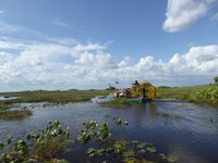 Everglades Nationalpark &ndash; &copy; Sabine Letzybyll (Eberhardt TRAVEL)