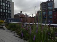 High Line  &ndash; &copy; Kristin Werner (Eberhardt TRAVEL)