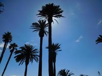 Santa Monica &ndash; &copy; Laura Schwanitz (Eberhardt TRAVEL)