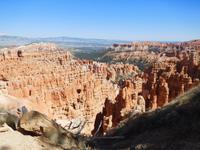 so viele Perspektiven - Bryce Canyon &ndash; &copy; Laura Schwanitz (Eberhardt TRAVEL)