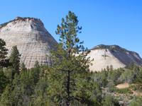 Zion-Nationalpark &ndash; &copy; Laura Schwanitz (Eberhardt TRAVEL)