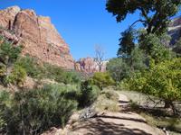 Spaziergang am Fluss - Zion Nationalpark &ndash; &copy; Laura Schwanitz (Eberhardt TRAVEL)