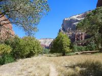Zion-Nationalpark &ndash; &copy; Laura Schwanitz (Eberhardt TRAVEL)