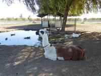 Toilettenpause bei einer Tierrettung &ndash; &copy; Laura Schwanitz (Eberhardt TRAVEL)