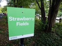 Strawberry Fields &ndash; &copy; Kristin Werner (Eberhardt TRAVEL)