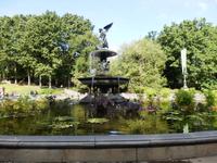 Central Park