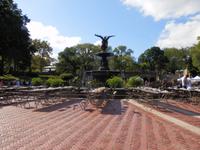 Central Park