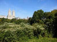 Central Park &ndash; &copy; Kristin Werner (Eberhardt TRAVEL)