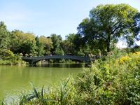Central Park