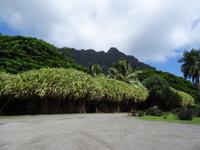 Oahu &ndash; &copy; Ralf Mehnert (Eberhardt TRAVEL)