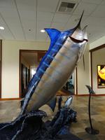 Blue Marlin &ndash; &copy; Ralf Mehnert (Eberhardt TRAVEL)