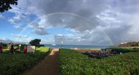 Maui &ndash; &copy; Ralf Mehnert (Eberhardt TRAVEL)