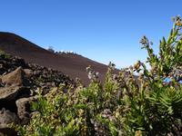 Maui - Vulkan Haleakala &ndash; &copy; Ralf Mehnert (Eberhardt TRAVEL)