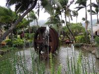 Maui - Tropical Plantation  &ndash; &copy; Ralf Mehnert (Eberhardt TRAVEL)