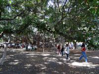 Maui - Lahaina &ndash; &copy; Ralf Mehnert (Eberhardt TRAVEL)