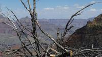 Grand Canyon &ndash; &copy; Jens Petzoldt (Eberhardt TRAVEL)