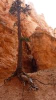 Bryce Canyon &ndash; &copy; Jens Petzoldt (Eberhardt TRAVEL)