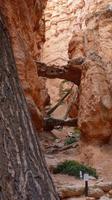 Bryce Canyon &ndash; &copy; Jens Petzoldt (Eberhardt TRAVEL)