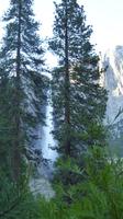 Yosemite Nationalpark &ndash; &copy; Jens Petzoldt (Eberhardt TRAVEL)