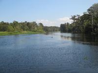Sumpftour &ndash; &copy; Sylvia Sann (Eberhardt TRAVEL)