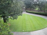 Oak Alley Plantage &ndash; &copy; Sylvia Sann (Eberhardt TRAVEL)